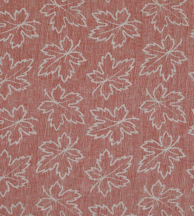 Maple Fabric by Fermoie Blush