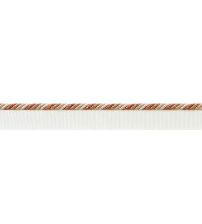 Maren Cord Trimming by Thibaut Paprika and Nutmeg