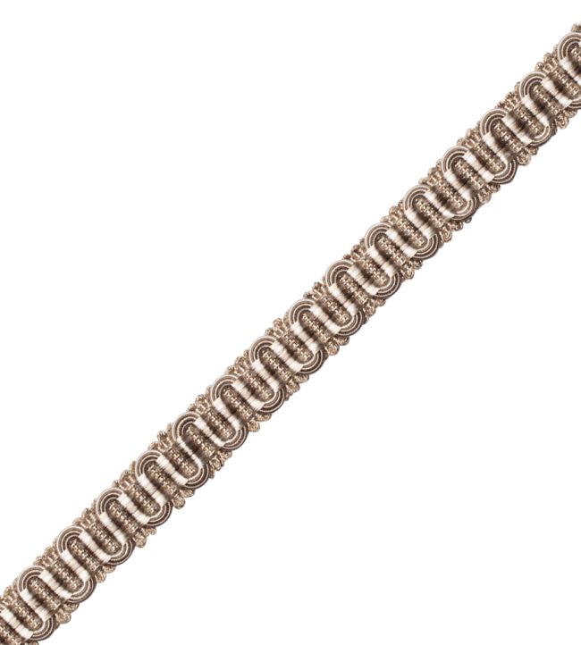 Margaux Gimp Trimming by Samuel & Sons Feuille D'Argent
