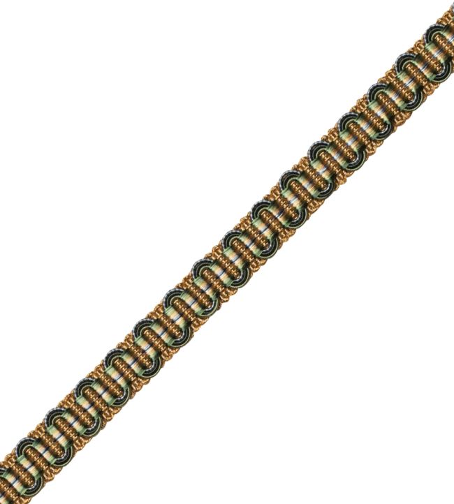 Margaux Gimp Trimming by Samuel & Sons Foret