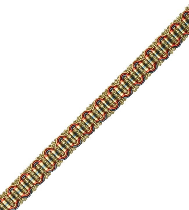 Margaux Gimp Trimming by Samuel & Sons Mandarine