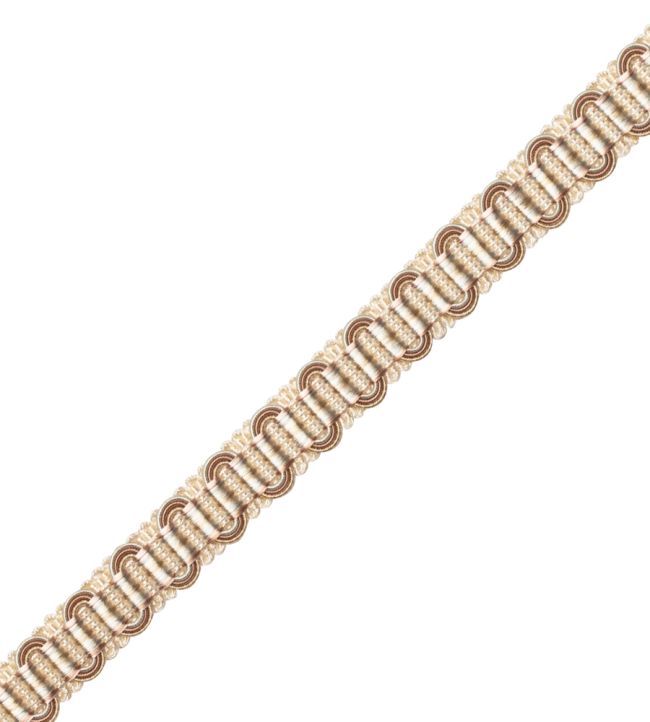 Margaux Gimp Trimming by Samuel & Sons Rose De The