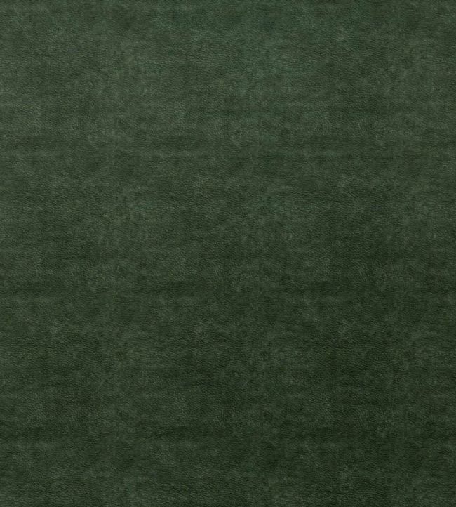 Marina Fabric by Ashley Wilde Forest