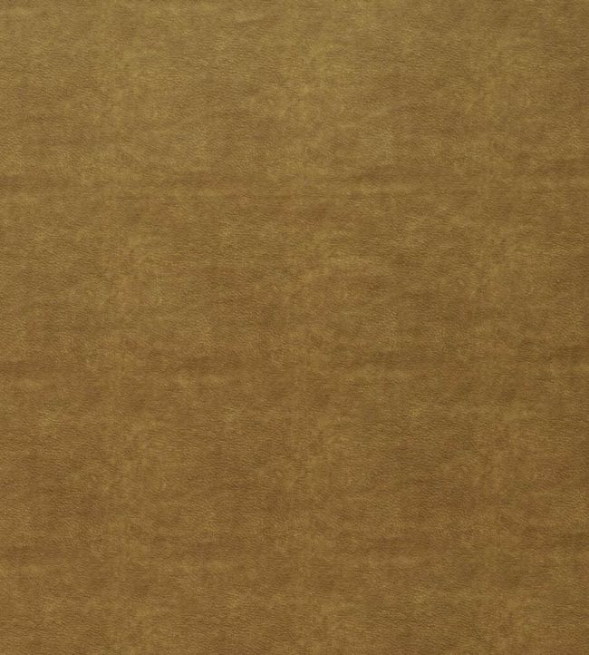 Marina Fabric by Ashley Wilde Gold