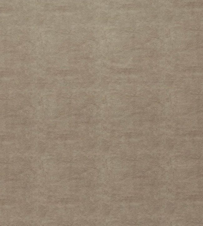 Marina Fabric by Ashley Wilde Oat