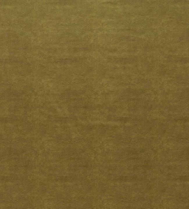 Marina Fabric by Ashley Wilde Olive