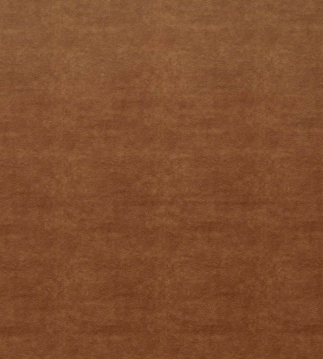 Marina Fabric by Ashley Wilde Rust