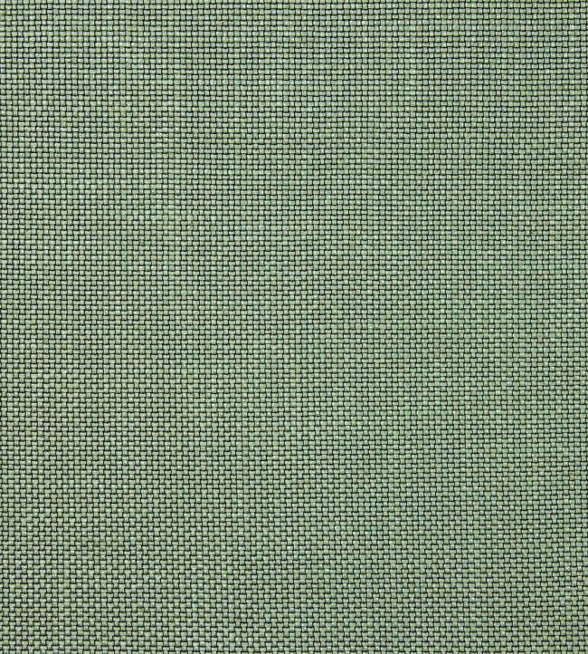 Marlin Fabric by Pepe Penalver Celadon