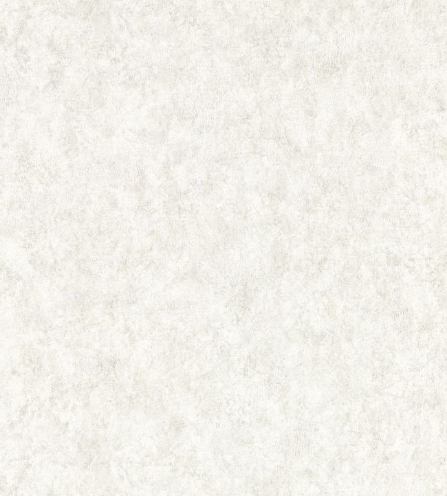 Marmor Wallpaper by Clarke & Clarke Ash