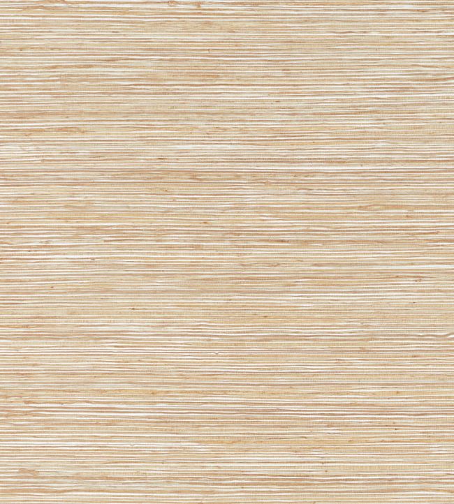 Maroma Wallpaper by Thibaut Beige