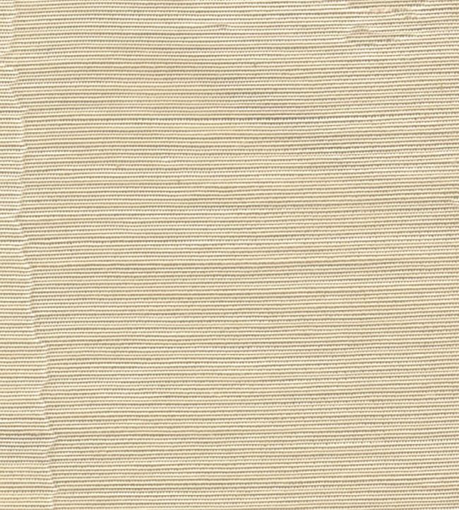 Misa Moire Plain Fabric by Marvic Champagne