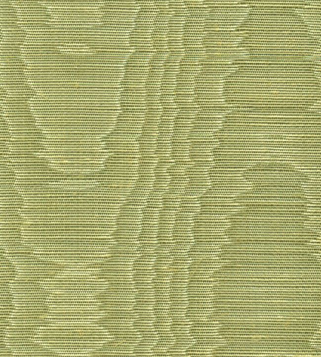 Misa Moire Plain Fabric by Marvic Gooseberry