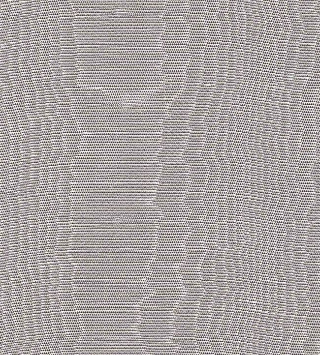 Misa Moire Plain Fabric by Marvic Grey