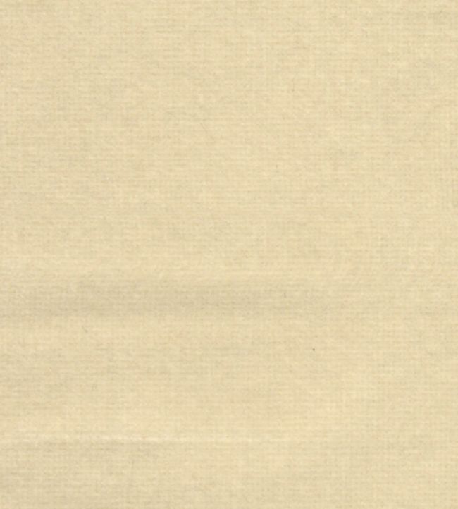 Safari Fabric by Marvic Ivory