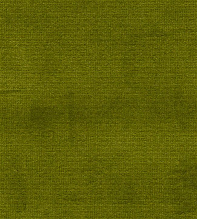 Safari Fabric by Marvic Moss