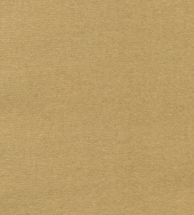 Safari Fabric by Marvic Pampas