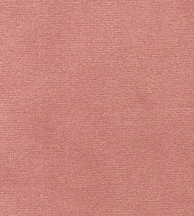 Safari Fabric by Marvic Antique Rose