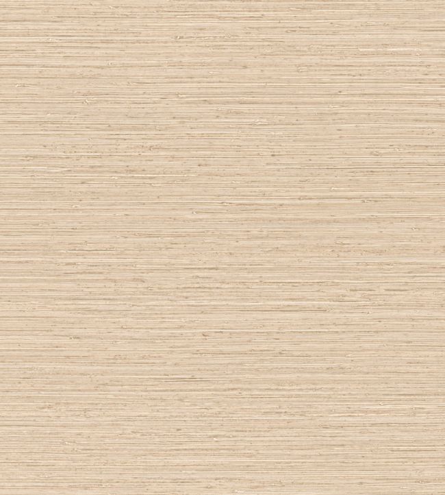 Matiz Wallpaper by Arte Nougat