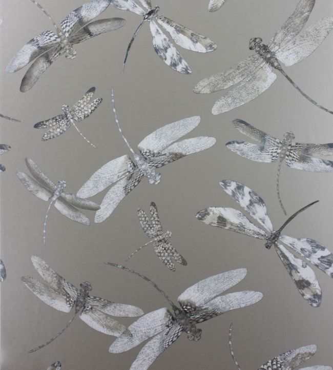 Dragonfly Dance Wallpaper by Matthew Williamson 6