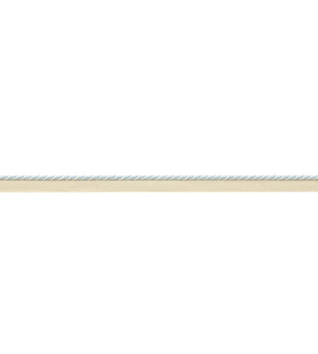 MDS Rosette Cord Trimming by Samuel & Sons Sky