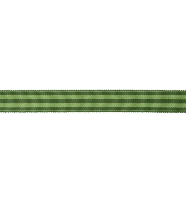 MDS Stripe Border 2.6cm Trimming by Samuel & Sons Evergreen