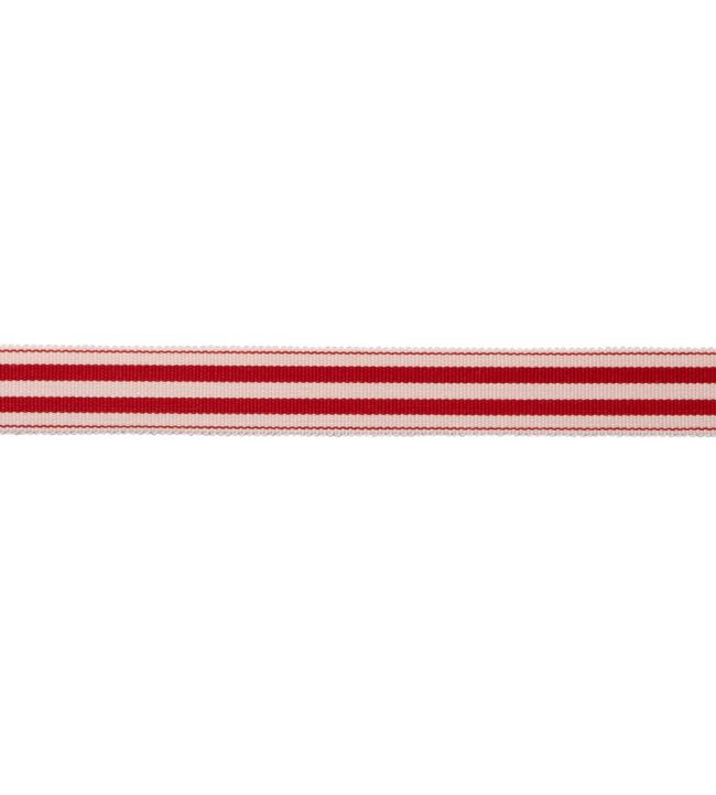 MDS Stripe Border 2.6cm Trimming by Samuel & Sons Poppy