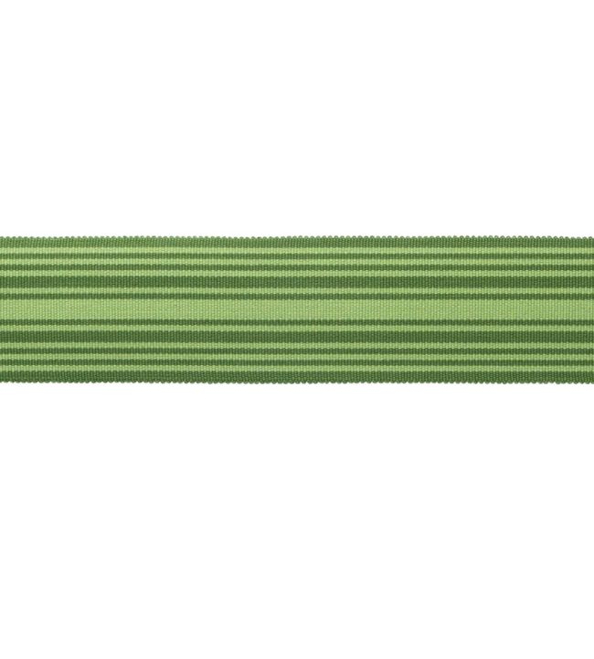 MDS Stripe Border 5.1cm Trimming by Samuel & Sons Evergreen