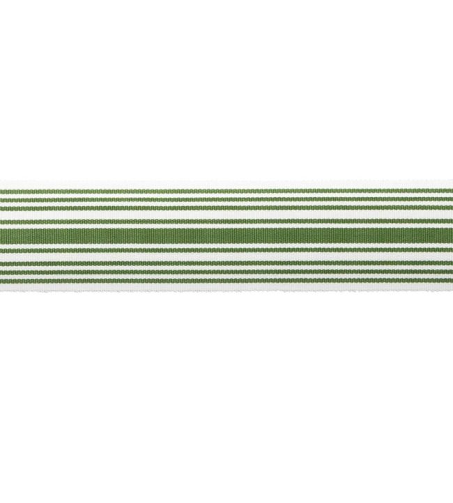 MDS Stripe Border 5.1cm Trimming by Samuel & Sons Fern