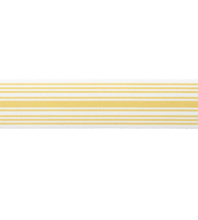 MDS Stripe Border 5.1cm Trimming by Samuel & Sons Jonquil