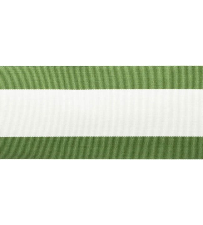MDS Stripe Border Trimming by Samuel & Sons Fern