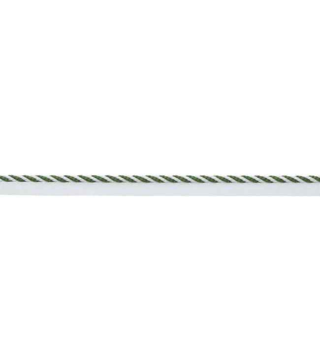 MDS Stripe Cord Trimming by Samuel & Sons Fern