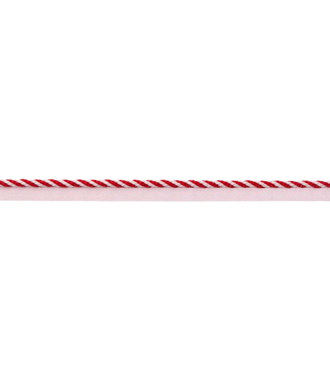 MDS Stripe Cord Trimming by Samuel & Sons Poppy