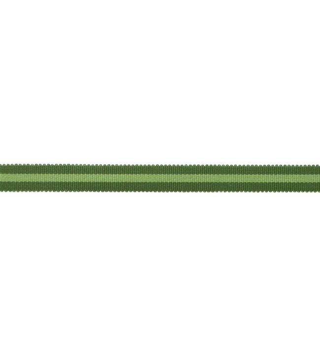 MDS Stripe Gimp Trimming by Samuel & Sons Evergreen
