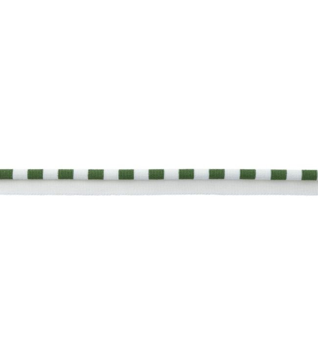 MDS Stripe Piping Trimming by Samuel & Sons Fern