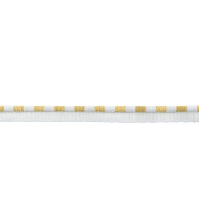 MDS Stripe Piping Trimming by Samuel & Sons Jonquil