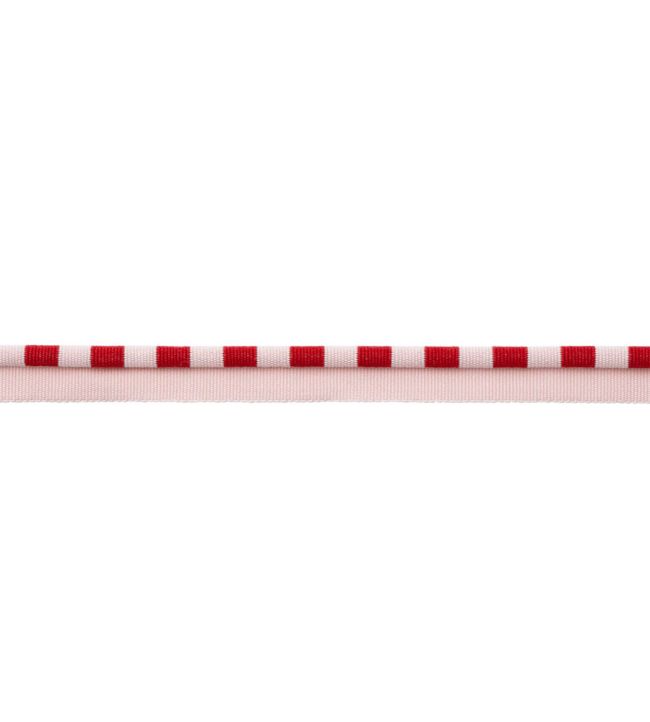 MDS Stripe Piping Trimming by Samuel & Sons Poppy