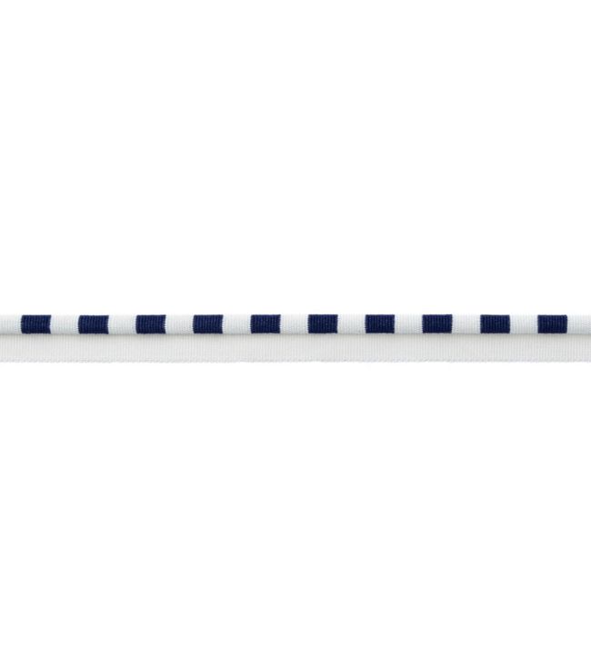MDS Stripe Piping Trimming by Samuel & Sons Sapphire