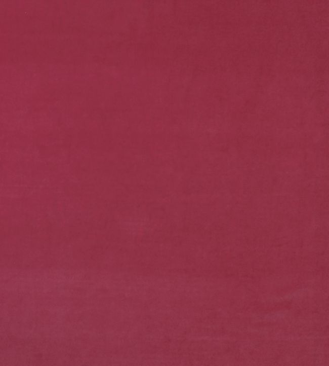 Medici Fabric by Andrew Martin Geranium