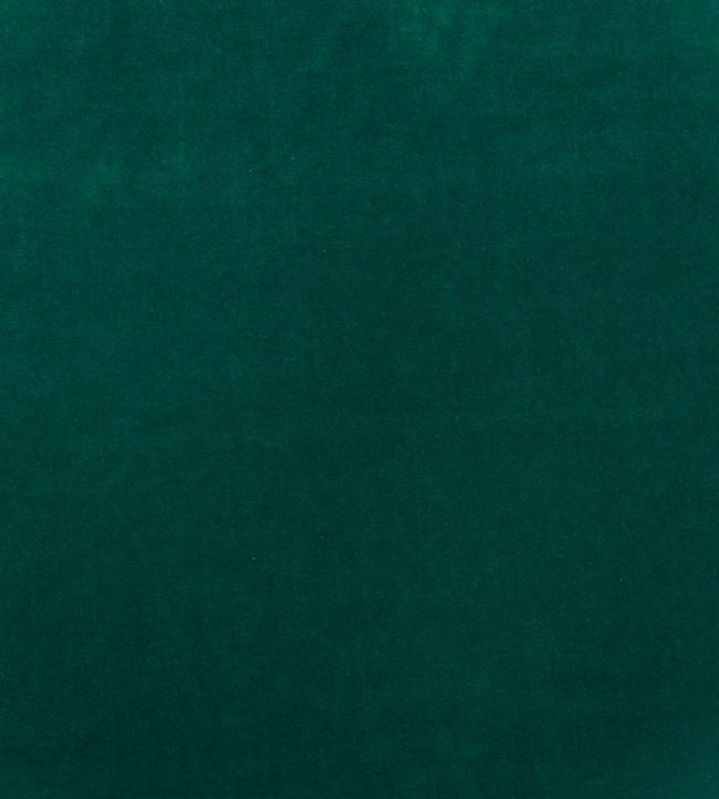 Medici Fabric by Andrew Martin Kingfisher