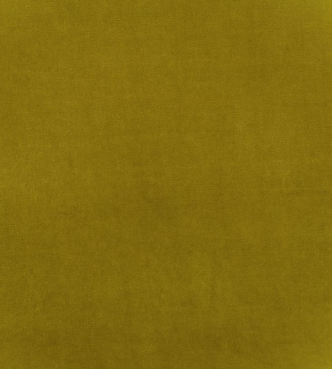 Medici Fabric by Andrew Martin Pear