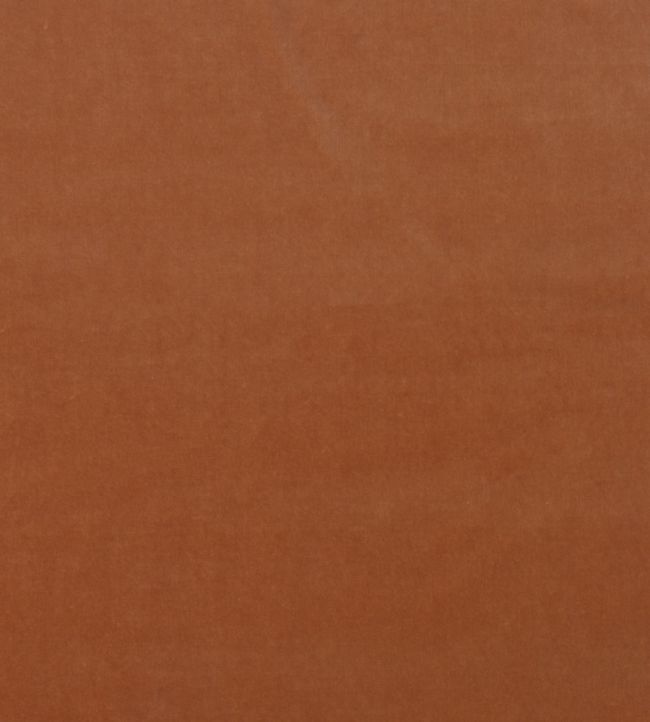 Medici Fabric by Andrew Martin Pigment