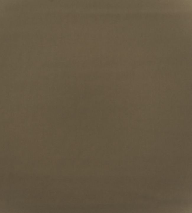 Medici Fabric by Andrew Martin Warm Grey