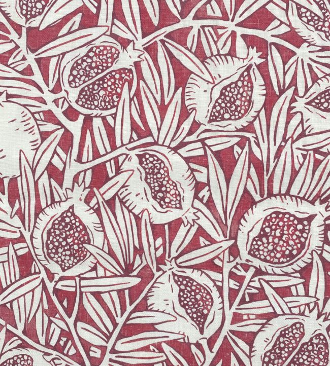 Melograno Outdoor Fabric by Ian Sanderson Peony