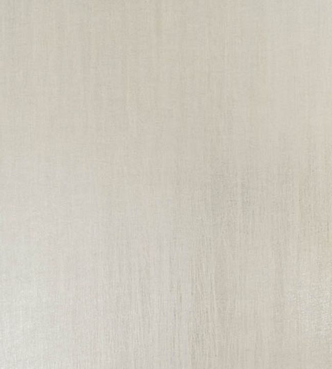 Metallized Plain Vinyl Wallpaper by Armani Casa 9380