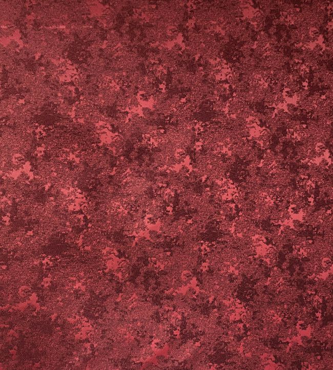 Meteore Fabric by Casal Cramoisi