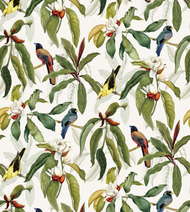 Michelia Wallpaper by Osborne & Little 3