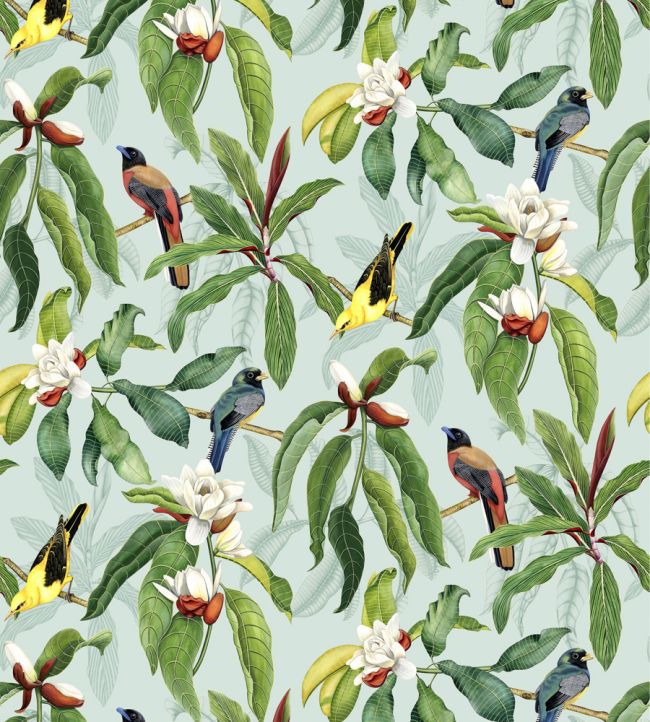 Michelia Wallpaper by Osborne & Little 4