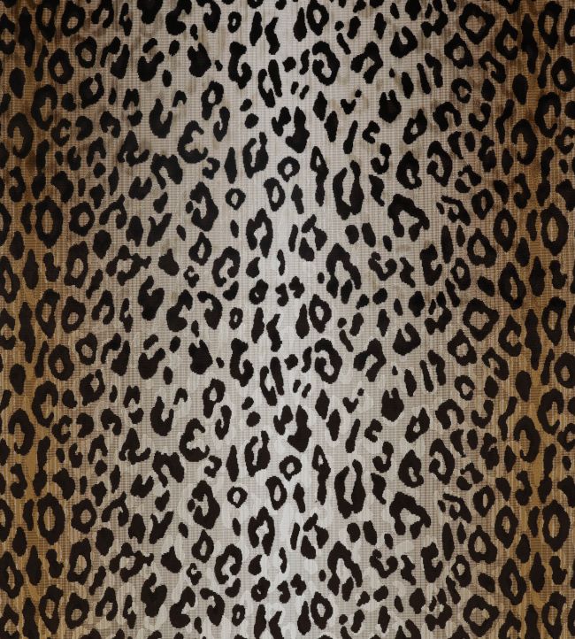 Mimi Velvet Fabric by Romo Tan