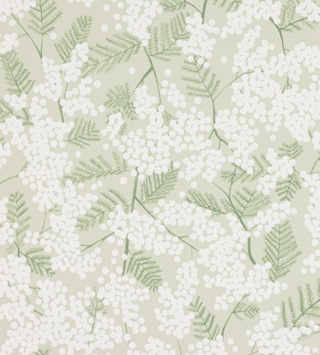 Mimosa Wallpaper by Jane Churchill Green