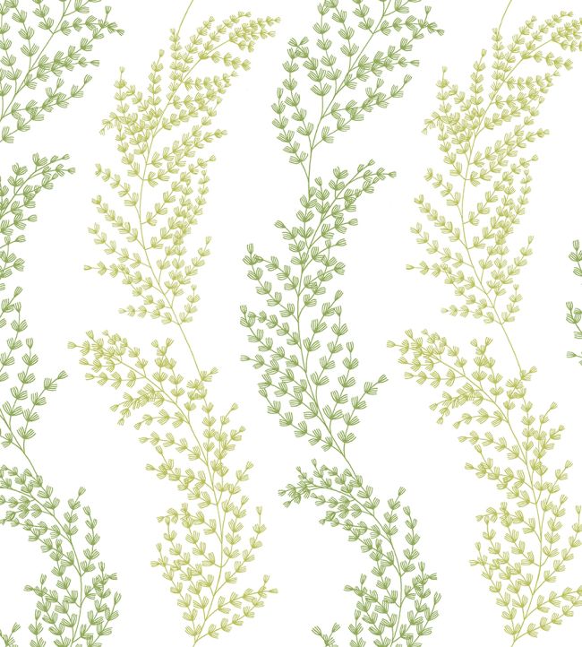 Mimosa Trail Wallpaper by Ohpopsi Olive